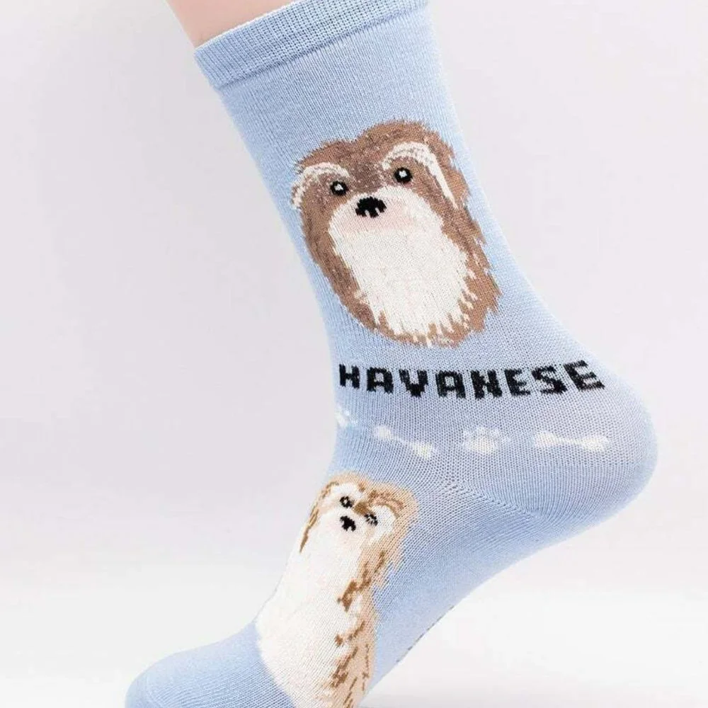 Havanese Cuba Rescue Breeders Cute Soft Furry Puppy 2 Pairs Women's Foozys Socks